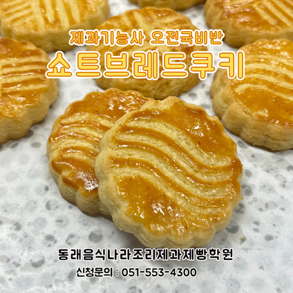 3d04239f017307f194b5bb609680526c_1766387