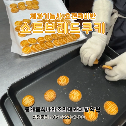 3d04239f017307f194b5bb609680526c_1766387