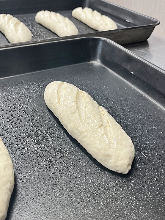 2e0ba029c47519464e117ee6ea2f6076_1774578