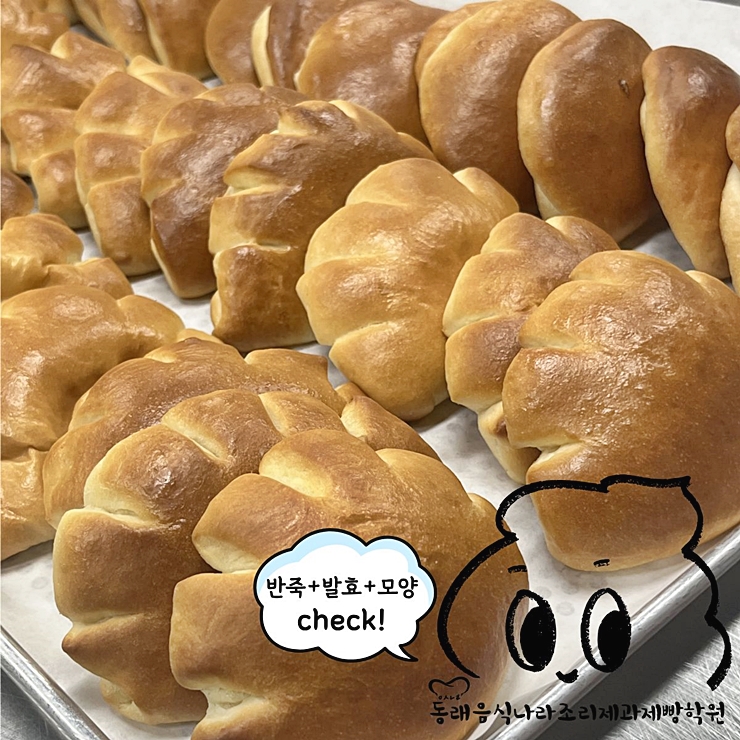 80f9ea1369c9648c3a01f0682e43ef7e_1775101